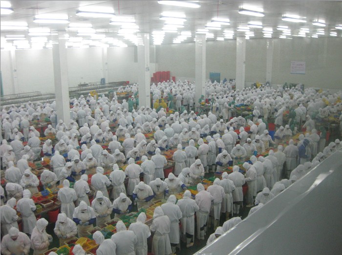食品无尘室净化工程- 食品无尘室净化工程-